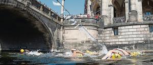 Die Teilnehmerinnen des "Berliner Flussbad Pokal" schwimmen vom Bode-Museum aus einen 1000 Meter langen Rundkurs. 