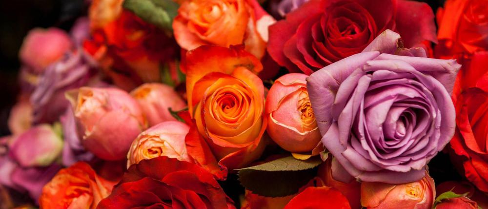 „Ich hasssse Rosen“: Blumenverkäufer Rudi war ein Berliner Marktschreier der alten Schule.