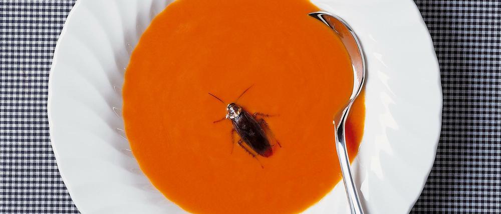 Kakerlake in der Suppe: Besser, wenn man's vorher weiß.