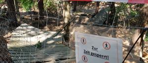 Die seit den 1990ern genutzte Downhill-Strecke in den Müggelbergen ist gesperrt.