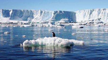 Auf verlorenem Posten. Das Eis am Südpol schmilzt infolge der Treibhausgasemissionen der Menschheit sechsmal so schnell wie noch in den 1980er Jahren, warnt die Universität von Kalifornien. Jährlich sind es derzeit 252 Milliarden Tonnen. Der Meerespegel steigt und ist eine Gefahr fürs das Überleben der Zivilisation auf der Erde.