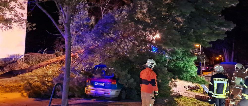 Feuerwehrleute stehen an einem umgestürzten Baum, der in Stahnsdorf (Brandenburg) auf ein parkendes Auto gefallen ist. 