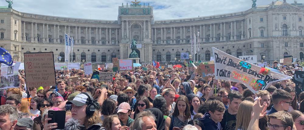 Kürzlich protestierten in Wien 35.000 Menschen bei "Fridays for Future". Unsere Redakteurin war mit ihrer Tochter zufällig in der Stadt.