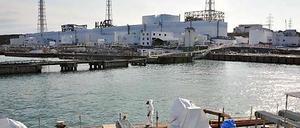 Die Arbeiten am havarierten Atomkraftwerk Fukushima könnten noch Monate dauern. 