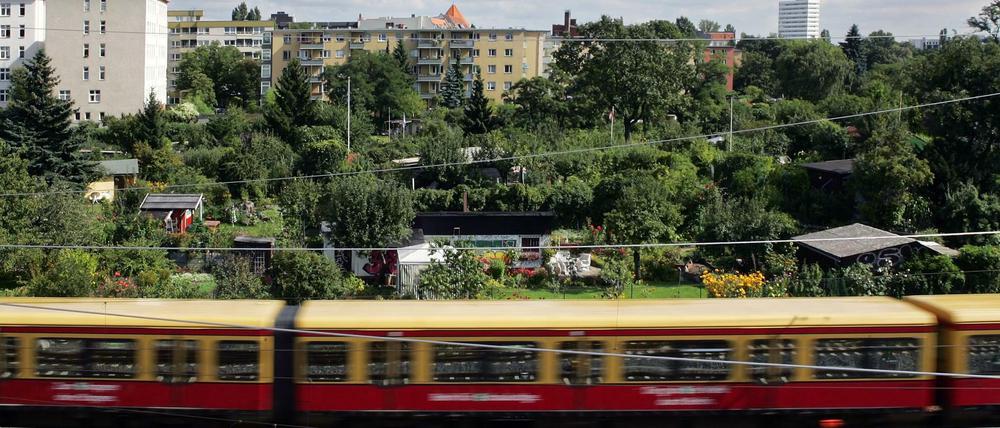 Kleingärten sind für viele Berliner eine zweite Heimat. 