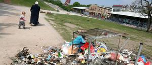 Keine schöne Mischung: Grünanlagen und umgeworfene Müllcontainern.