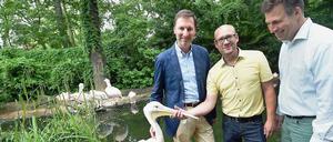 Berlins Zoodirektor Andreas Knieriem (l) steht zusammen mit den Geschäftsführern Frank Werner (M.) und Andreas M. Casdorff (r) vom Zoo Hannover im Pelikangehege. 
