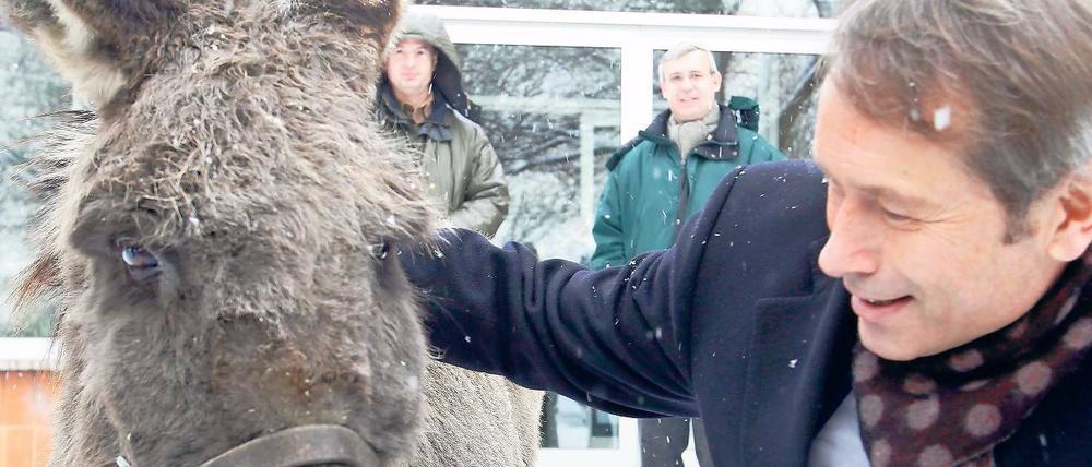 Streichelzoo für den Senator. Ulrich Nußbaum wünschte sich für den Besuch des Tierparks, einen Esel streicheln zu können. Bitte schön: Linda, 22, folgte brav auch den Wünschen der Fotografen.