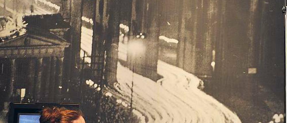 Dunkle Stunden: Mit dem Fackelzug der Nationalsozialisten durchs Brandenburger Tor am 30. Januar 1933 - hier auf einem Foto im Deutschen Historischen Museum - fing die Zerstörung der Vielfalt in Deutschland an.