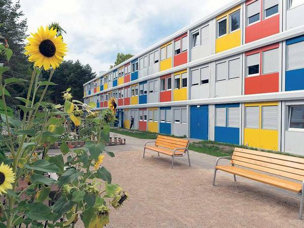 Das erste von sechs Containerdörfern. Sonnenblumen wachsen im Innenhof der Flüchtlingsunterkunft in der Alfred-Randt-Straße. 
