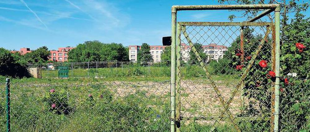 Bedrohtes Gebiet: Hartnäckig haben die Kleingärtner der Laubenkolonie Oeynhausen in Berlin-Wilmersdorf um ihre Schollen gekämpft. Trotz Schutzstatus entstehen auf einem Teilstück des Geländes jetzt 973 neue Wohnungen. 