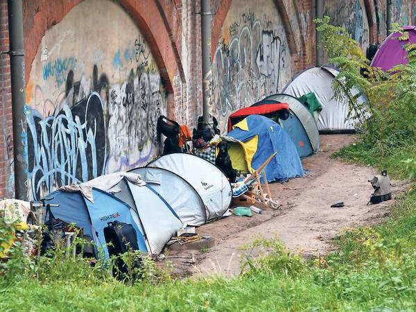 Unerwünscht. Immer mehr Obdachlose übernachten mit ihren Zelten in Berliner Parks und Grünanlagen – wie hier im Tiergarten. 
