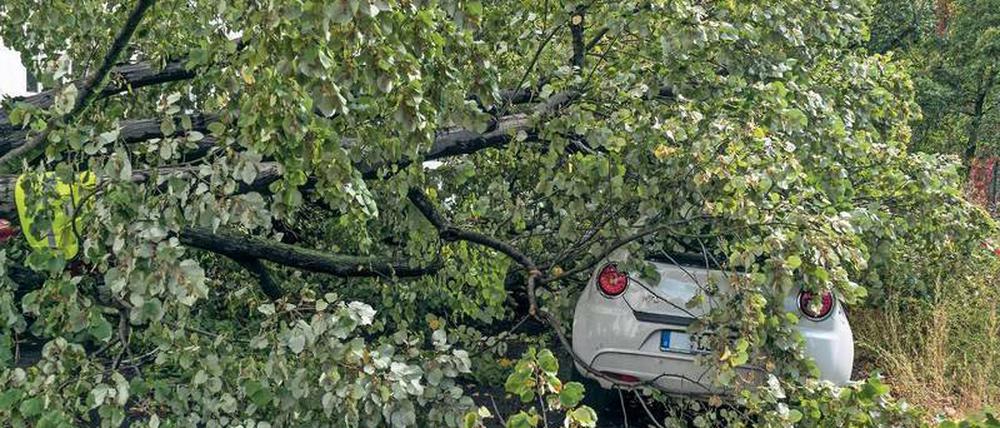 Naturgewalt. Am 5. Oktober 2017 fegte das Sturmtief Xavier über Berlin und Brandenburg hinweg. Der Orkan riss zehntausende Bäume in der Stadt um, von denen einige wie hier in Neukölln auf Autos stürzten.