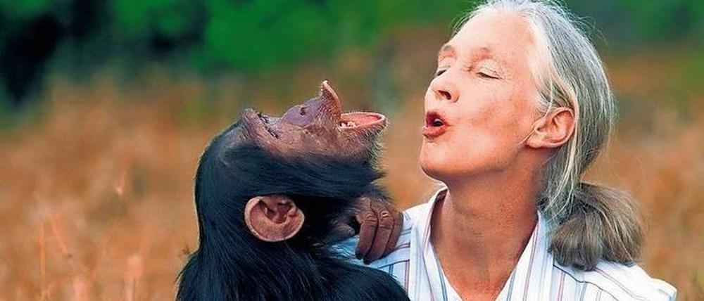 Affenliebhaberin und Naturschützerin, Jane Goodall.