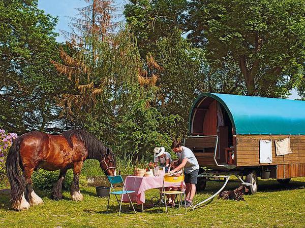 In der Altmark im Norden Sachsen-Anhalts können Familien mit Pferd und Planwagen durch die Landschaft pilgern. 