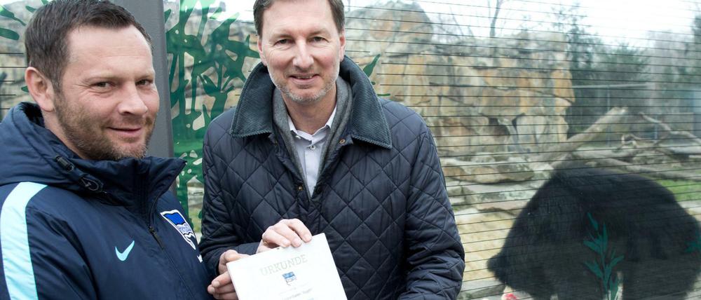 Für den Fußball-Bundesligisten Hertha BSC erhält Trainer Pal Dardai (li.) von Zoo-Direktor Andreas Knieriem eine Patenschafts-Urkunde für den Lippenbär Rajath.