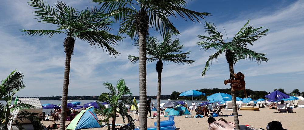 Strandbad Wannsee: Die Palmen am Sandstrand werden auch am Wochenende wieder zahlreiche Besucher anlocken.