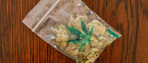 Cannabis, Droge, Blueten *** Cannabis drug flowers  