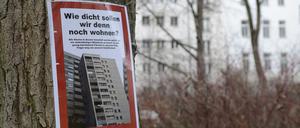 Naturschutz oder Wohnungsbau? Das ist oft die Frage in Berlin.