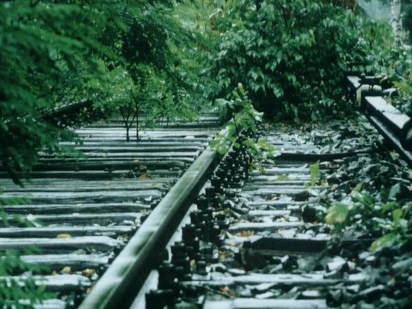 1980: Versunkene S-Bahngleise zwischen Wannsee und Potsdam