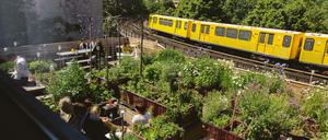 Berlins irrste Dachgärten. Berühmt (aus der U.Bahn): der Garten an der Oberbaumbrücke.