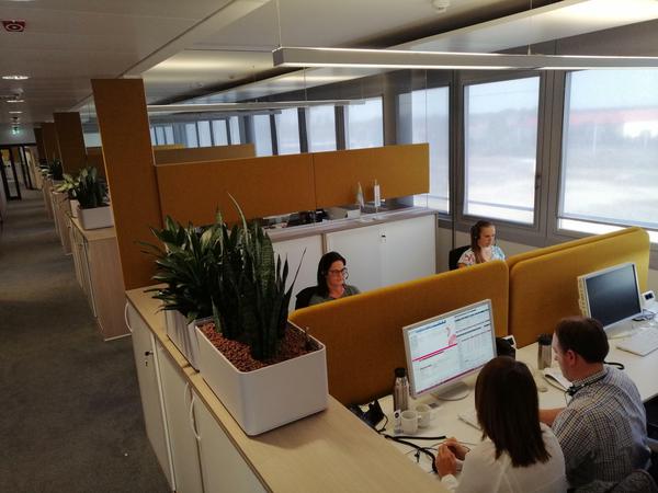 Die Großraumbüros der neuen Allianz-Zentrale sind mit schalldämpfenden Trennern ausgestattet. Früher saßen die meisten Berater in Zweier-Büros.