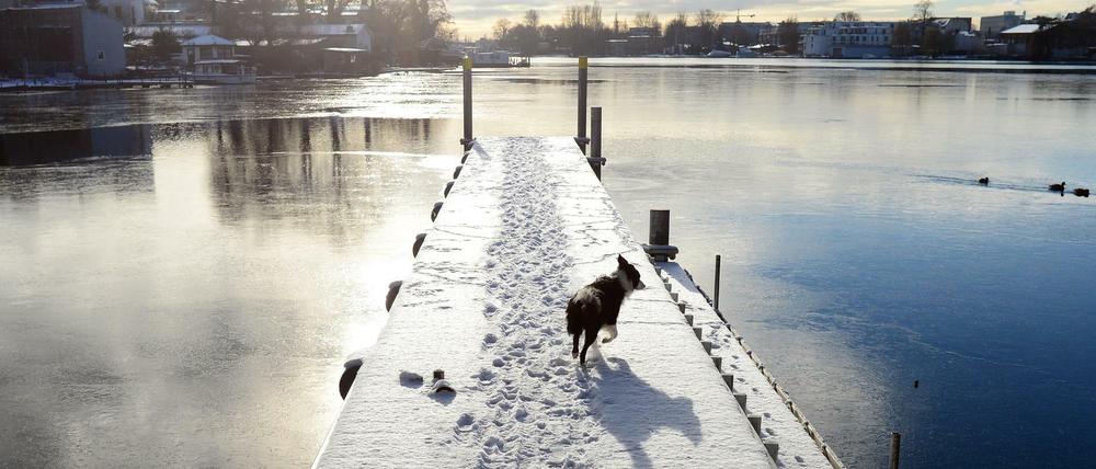 Hundekalt ist es in Berlin. Aber eine geschlossene Schneedecke gibt's nur im Südosten wie hier in Köpenick.