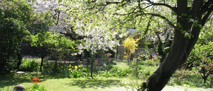Dieser Kleingarten in Wilmersdorf musste 2011 einer Nobelbebauung Platz machen.