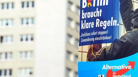 AfD-Wahlplakate in Berlin.
