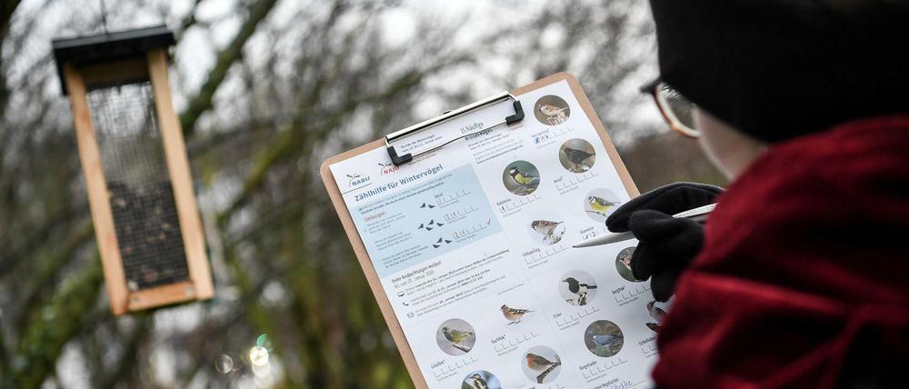Registriert werden soll ab Donnerstag eine Stunde lang die jeweils höchste Zahl an Exemplaren, die von einer Vogelart gesichtet werden.