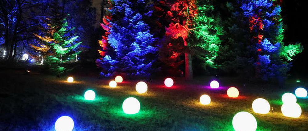 Bunt illuminierte Bäume und Gräser beim "Christmas Garden" im Botanischen Garten.