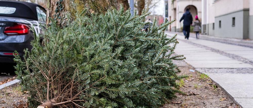 Ein Weihnachtsbaum liegt in Charlottenburg auf der Straße.
