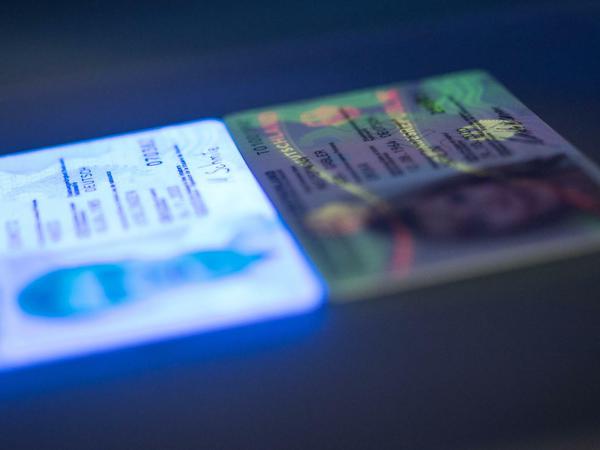 Ein gefälschter Personalausweis (links) leuchtet in einem Scanner unter UV-Licht, neben einem echten Personalausweis.