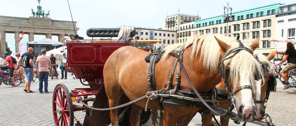 Pferdekutschen gehörten bisher zum Pariser Platz wie das Brandenburger Tor.