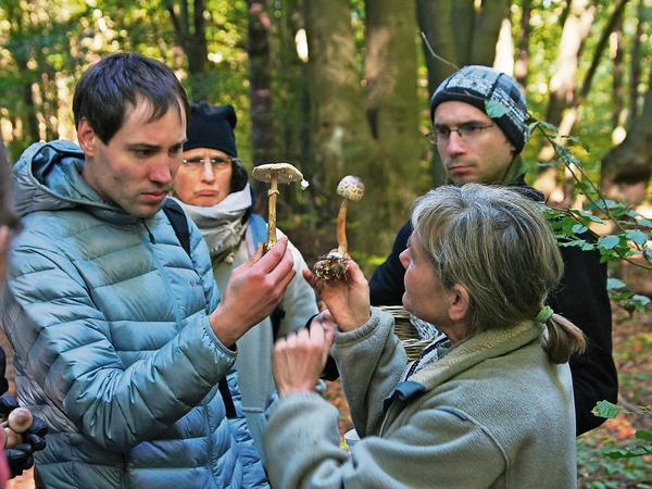 Giftig oder köstlich? Elisabeth Westphal leitet eine Pilzwanderung im Wald am Wandlitzsee.