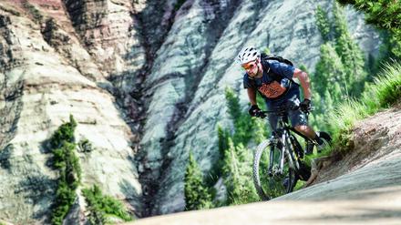 Kein Berg zu steil: Mit dem Focus Jarifa Impulse lässt sich so manch ambitionierter Radfahrer gehörig unter Druck setzen.
