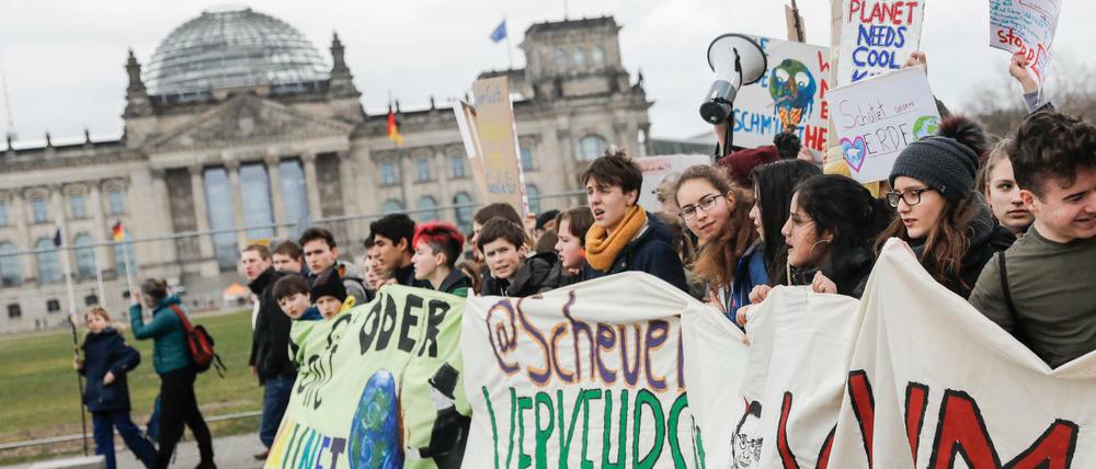 Zehntausende Schüler beteiligten sich im Laufe der Monate an den "Fridays for Future"-Klimademonstrationen.