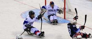Sledge-Eishockey: Team Südkorea gegen die USA hier bei den Paralympics in Südkorea.