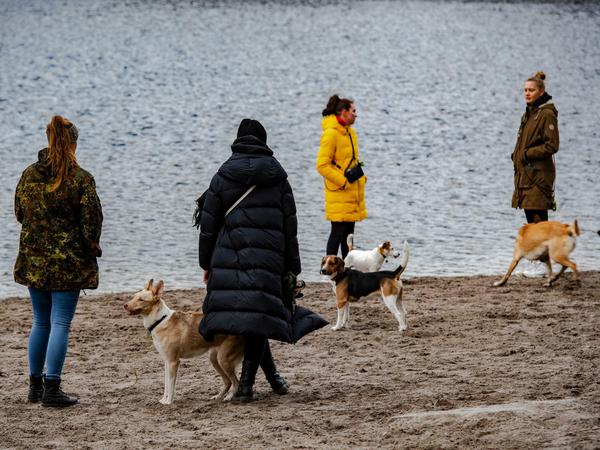 Spaziergänger stehen mit ihren Hunden am Grunewaldsee.