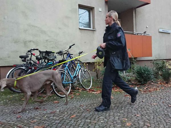 Eine Polizistin führt einen Spürhund zum Haus.