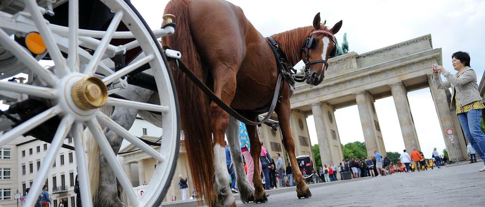 Pferdestärken vor dem Brandenburger Tor in Berlin.