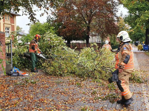 Ein Mensch ist in Neuruppin wegen des Sturms unter dem umgestürzten Baum eingeklemmt worden.
