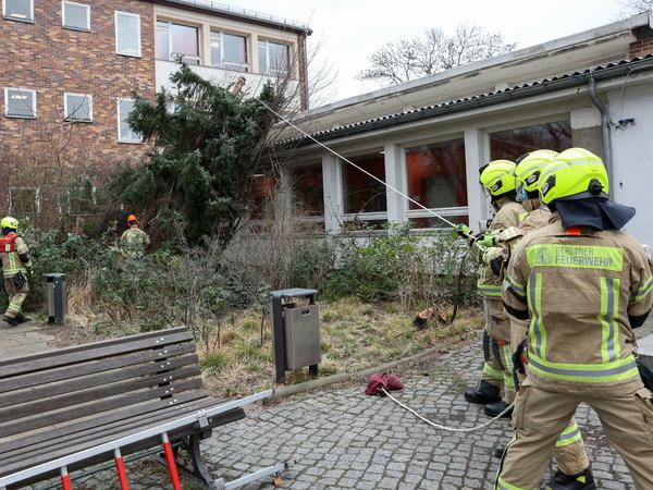 Vom Dach der Otto-Wels-Grundschule in der Alexandrinenstraße in Kreuzberg mussten die Feuerwehrleute diesen umgestürzten Baum ziehen.
