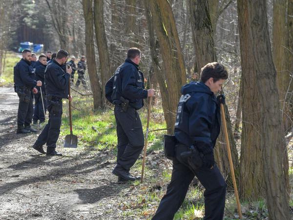 Eine Hundertschaft der Berliner Polizei sucht im März 2019 in Brandenburg ein Waldstück nach der vermissten Rebecca ab.