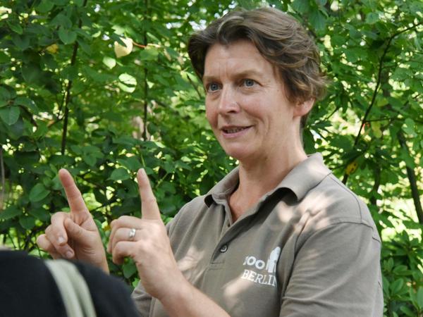 Dr. Kathrin Kopp von der FU Berlin erforscht die Intelligenz von Bonobos. 