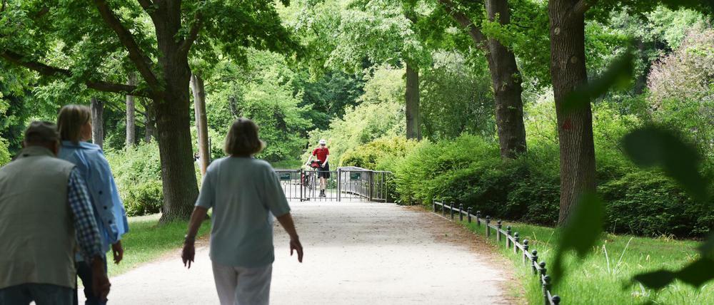 Durch den Tiergarten soll bald ein geteilter Weg für Radfahrer und Fußgänger führen.