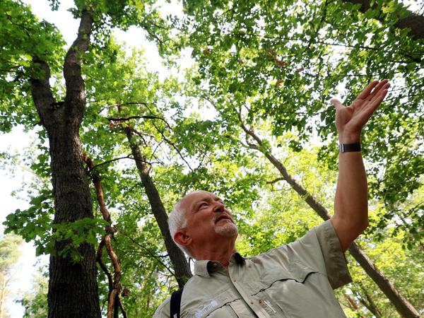 Elmar Kilz ist Waldschadensbeauftragter und Leiter des Forstamtes Grunewald.