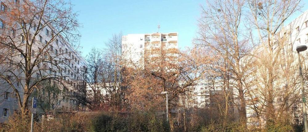 Auf diesem Grundstück in der Krautstraße will die WBM einen Wohnturm errichten, daneben ein weiteres Hochhaus.