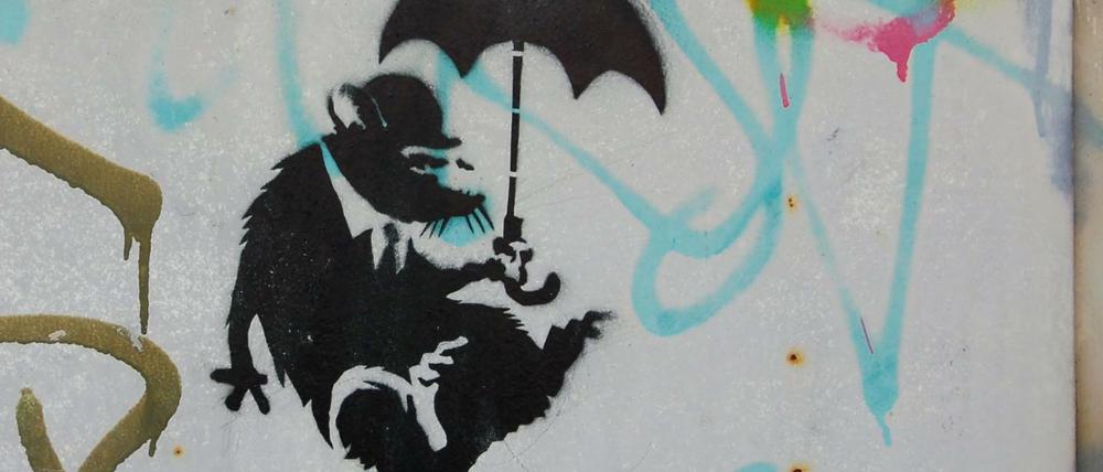 In Berlin gibt es Ratten leider nicht nur als Graffiti an der Wand.