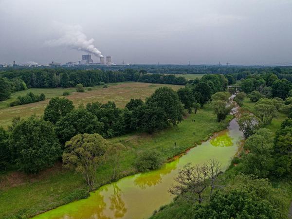 Grüne Spree "von der Lausitz bis nach Berlin": DIe Klimabewegung Extincion Rebellion kippe am Donnerstag Uranin in den Fluss.